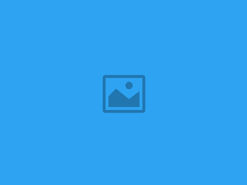 d2-placeholder-510px